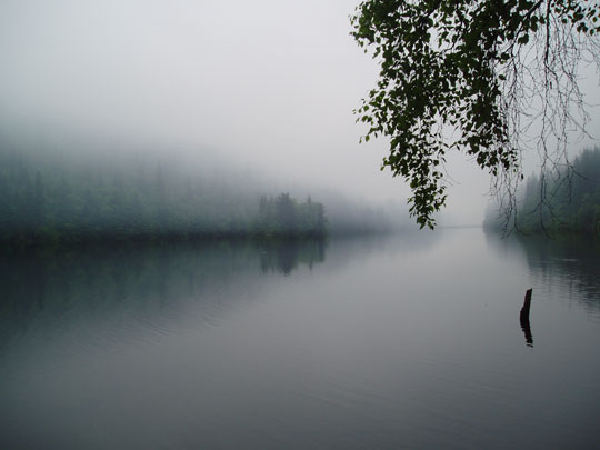 FoggyLake